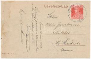 1919 Szenice, Szenicz, Senitz, Senica nad Myjavou; Kálmán Imréné kastélya. Löffler J. kiadása / cast...