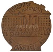 Rajki László (1939-) 1989. "IUVENIBUS A MAIORIBUS díj - Táncsics Mihály Gimnázium és Szakközépi...