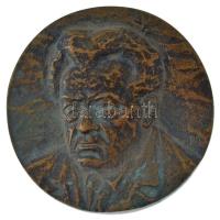 Rajki László (1939- ) 1979. "Darvas Irodalmi Emlékház - 1979 Orosháza" bronz plakett, pere...