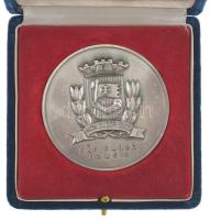 Brazília DN "Sao Paulo / Zászlóikat hordozva Sao Paulo meghajolt Tordesillas előtt - Páteo de C...