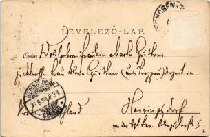 1899 (Vorläufer) Trencsénteplic, Trencianske Teplice; látkép, nyaralók / general view, villas, spa (...