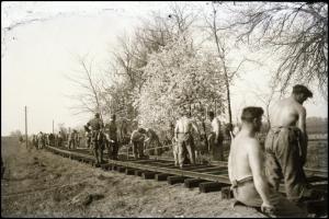 II. világháborús katonák, 7 db fotónegatív, 9×6 cm