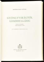 Homoki-Nagy István: Gyöngyvirágtól lombhullásig. Színes filmmel vadmadarak után. Bp., 1954, Művelt N...