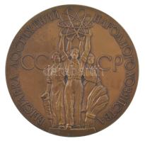 Szovjetunió DN "Nemzetgazdasági Eredmények Kiállítása" kétoldalas bronz emlékérem (62mm) T:AU,XF Soviet Union ND "Exhibition of Achievements of the National Economy" two-sided bronze medallion C:AU,XF