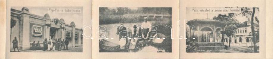 Pöstyén, Piestany; Park részlet a zenepavilonnal / Park mit der Musikhalle / park with music pavilio...