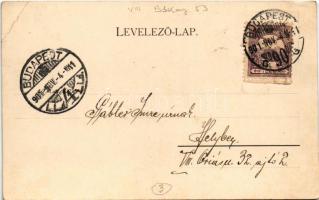 1901 Budapest VIII. József fiúárvaház, Stefánia gyermekkórház, Reich Albert, Rosenberg Emil, Grósz M...