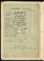 1920 Magyar Királyság által kiállított fényképes útlevél / Hungarian passport
