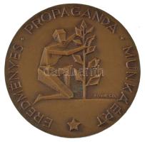 Kovács Dezső (1921-2004) DN Eredményes Propaganda Munkáért egyoldalas bronz emlékérem eredeti tokban (60mm) T:AU