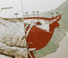 "A tyúk", kihajtható oktatótábla, falra akasztható, nyomat faroston, foltos, kopásnyomokka...