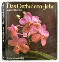 Walter Richter: Das Orchideen-Jahr. Leipzig-Radebeul, 1988, Neumann Verlag. Színes fotókkal illusztrálva. Német nyelven. Kiadói egészvászon-kötés, kissé sérült kiadói papír védőborítóban.