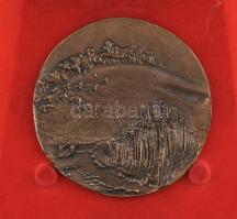 DN "Rákóczi Mezeje MGTSZ (Mezőgazdasági Termelőszövetkezet) - Romhány" kétoldalas, öntött ...