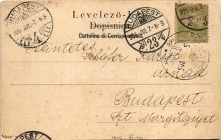 1905 Crikvenica, Cirkvenica; Molo / port, steamships (EK)