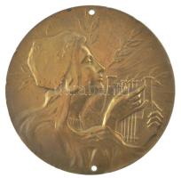 DN "Ars. Una. Species Mille" kétoldalas bronz dalos emlékérem, rögzítésre szolgáló lyukakk...