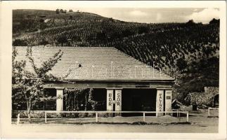 1951 Tokaj, Szmik László korcsma, kocsma, bor, sör és pálinka, szőlőhegy. Művészeti Alkotások