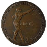 Kiss Ferenc (1890-?) DN Budapest Székesfőváros Testnevelési Felügyelőség bronz emlékplakett (144,5mm) T:XF