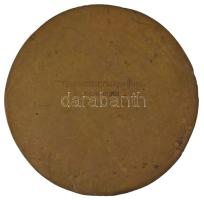 Kiss Ferenc (1890-?) DN "Budapest Székesfőváros Testnevelési Felügyelőség" bronz emlékplak...