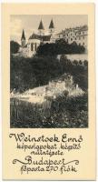 Weinstock Ernő képeslapokat készítő műintézete. Budapest főposta 270 fiók - mini reklámkártya (non PC) (8,5 x 4,5 cm)