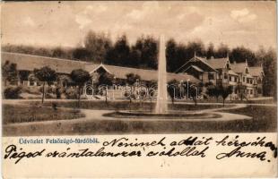 1911 Felsőzúgófürdő, Bad Ober Rauschenbach, Kupele Vysne Ruzbachy; fürdő, nyaraló. Divald Károly Fia kiadása / spa, villa (EK)