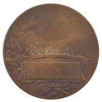 DN kétoldalas bronz vízilabda érem (50mm) T:XF