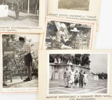 1964-1968 Virág Gellért festőről készült fotók, 11 db kartonra ragasztott fotó, feliratozva, 6×9 és ...