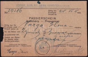 1915 Ujvidék, igazolvány (Passierschein) Újvidék és Bp. közötti utazásra, bal szélén kissé sérült