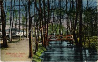 1924 Stubnyafürdő, Túróchévíz, Stubnianske Teplice, Turcianske Teplice; Ciastka parku / park / spa park (EB)