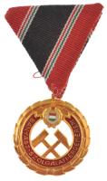 1970. "Bányász Szolgálati Érdemérem arany fokozata" műgyantás fém kitüntetés mellszalagon,...