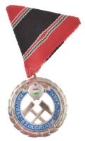 1989. "Bányász Szolgálati Érdemérem ezüst fokozata" műgyantás fém kitüntetés mellszalagon,...
