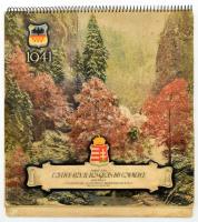 1941 Francia nyelvű fali naptár erdélyi képekkel