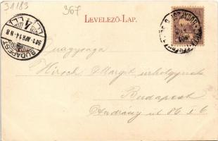 1901 Vajdahunyad, Hunedoara; Vajda-Hunyad vára. Hirsch Adolf kiadása / castle (EK)