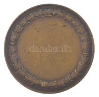 ~1930. "Magyar Vitorlás Yacht Szövetség 1929" kétoldalas bronz díjérem gravírozás nélkül (...