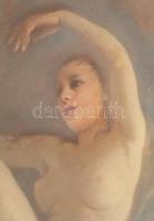 Szánthó Mária (1897-1998): Légies akt. Olaj, farost, jelzett, sérült, üvegezett keretben, 48×37 cm