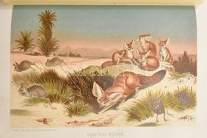 Brehm, Alfred: Az állatok világa 1-10. köt. - - Tierleben című nagy művének magyarra átültetett kiad...