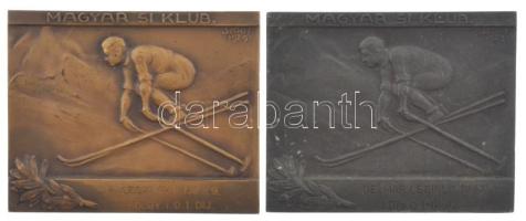 Sződy Szilárd (1878-1939) 1929. Magyar Sí Klub (2xklf) bronz és hadifém plakettek, mindkettő gravírozva, a bronz LUDVIG gyártói jelzéssel (57x70mm) T:2