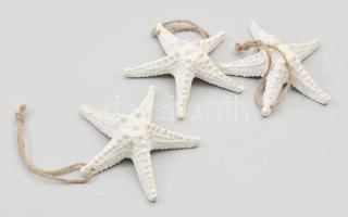3 darab tengeri csillag, szép állapotban, d: ~13 cm