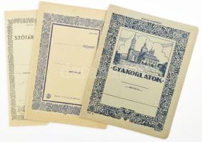 cca 1930-40 3 db iskolai füzet, egyik borítóján a lőcsei városháza illusztrációjával és a hátoldalán a magyar szellemi egység irredenta térképpel, kitöltetlen, jó állapotban