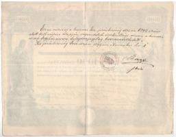 Budapest 1890. "Pesti Hazai Első Takarékpénztár Egyesület" névre szóló részvénye 100P-ről ...