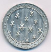 ~1849. "1848-1849" kétoldalas Sn szabadságharc emlékérem (40mm) T:AU,XF kis ph