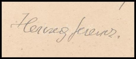 cca 1910-1930 Herczeg Ferenc (1863-1954) író, szerkesztő sorai "Hajnal" feliratú kártyán, ...