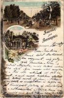 1899 (Vorläufer) Bucharest, Bukarest, Bucuresti, Bucuresci; Soseaua Kiseleff, Biserica Stavreopoleos. Art Nouveau, floral, litho (EB)