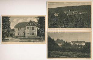Auerbach, Carolagrün, Lungenheilstätte für Frauen - 3 pre-1945 postcards