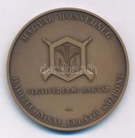 2005. &quot;Magyar Honvédség Haditechnikai Ellátó Központ - Vegyivédelmi Raktár / Vegyivédelmi technikai szolgálat alapításának évfordulójára - 55év&quot; bronz emlékérem kapszulában (42mm) T:UNC