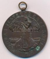Ripszám Henrik (1889-1976) ~1930. Munkás Testedző Egyesület egyoldalas bronz díjérem füllel (40mm) T:XF patina