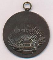 Ripszám Henrik (1889-1976) ~1930. "Munkás Testedző Egyesület" egyoldalas bronz díjérem fül...