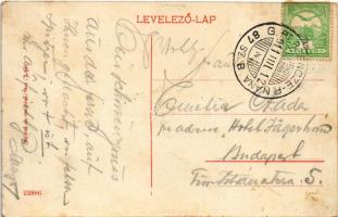 1911 Léva, Levice; várrom. Nyitrai és Társa kiadása / Levicky hrad / castle ruins + "G. BERZENC...