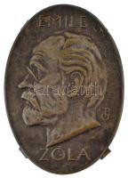 Beck Ö. Fülöp (1873-1945) DN Emile Zola bronz lemezplakett (40x57mm) T:XF,VF