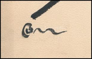 Bardócz Árpád (1882-1938): gróf Leiningen-Westerburg Károly Ágost (1819-1849) honvéd vezérőrnagy, ar...