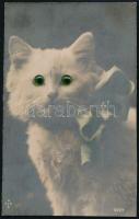 Cat. Mechanical postcard with moving eyes. WSSB No. 5630. (vágott / cut)