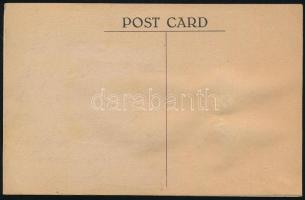 Cat. Mechanical postcard with moving eyes (EK)