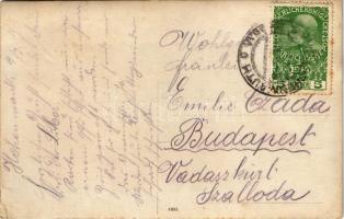 1915 Osztrák-magyar katonák csoportja / WWI Austro-Hungarian K.u.K. military, group of soldiers. pho...